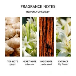 MOLTON BROWN Heavenly Gingerlily Body Lotion -Molton Brown 1309277 MOLTON BROWN Heavenly Gingerlily Body Lotion 300 ml.8450abfe