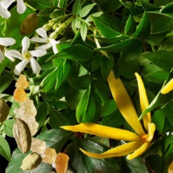 MOLTON BROWN Relaxing Ylang-Ylang Bath & Shower Gel -Molton Brown 1309307 MOLTON BROWN Relaxing Ylang Ylang Bath Shower Gel 300 ml.dd048de9