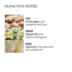 MOLTON BROWN Heavenly Gingerlily Hand Lotion -Molton Brown 1309722 MOLTON BROWN Heavenly Gingerlily Hand Lotion 300 ml.9e19d409