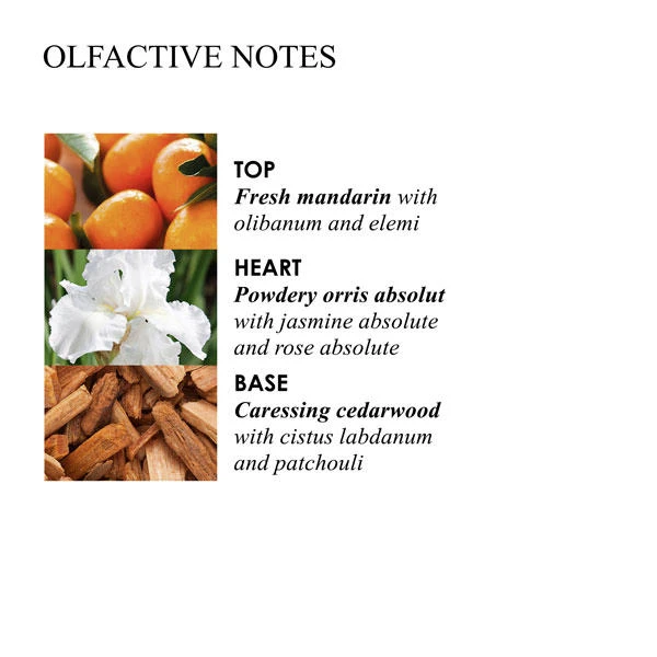 MOLTON BROWN Suede Orris Body Lotion 4 MOLTON BROWN Suede Orris Body Lotion – Image 4