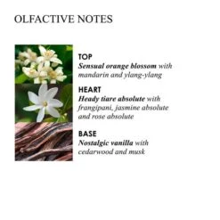 MOLTON BROWN Flora Luminare Bath & Shower Gel -Molton Brown 1357565 MOLTON BROWN Flora Luminare Bath Shower Gel 300 ml.f77a2c45