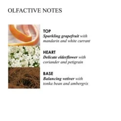 MOLTON BROWN Vintage With Elderflower Body Lotion -Molton Brown 1357697 MOLTON BROWN Vintage With Elderflower Body Lotion 300 ml.0c94409e