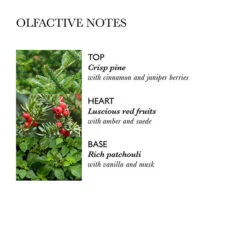 MOLTON BROWN Jubilant Pine & Patchouli Body Lotion Limited Edition -Molton Brown 1377876 MOLTON BROWN Jubilant Pine Patchouli Body Lotion Limited Edition 300 ml.21588478