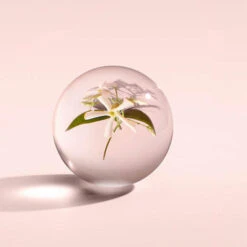 MOLTON BROWN Jasmine & Sun Rose Bath & Shower Gel -Molton Brown 1394029 MOLTON BROWN Jasmine Sun Rose Bath Shower Gel 300 ml.23ee2910