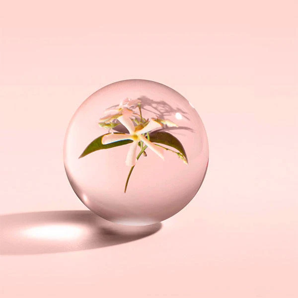 MOLTON BROWN Jasmine & Sun Rose Body Lotion 5 MOLTON BROWN Jasmine & Sun Rose Body Lotion – Image 5