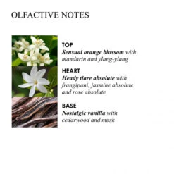 MOLTON BROWN Flora Luminare Fine Liquid Hand Wash -Molton Brown 1423002 MOLTON BROWN Flora Luminare Fine Liquid Hand Wash 300 ml.b8ffe0a1