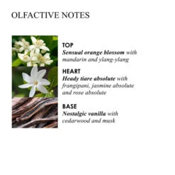 MOLTON BROWN Flora Luminare Hand Lotion -Molton Brown 1423010 MOLTON BROWN Flora Luminare Hand Lotion 300 ml.7677edb5