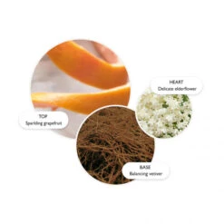 MOLTON BROWN Vintage With Elderflower Hand Lotion -Molton Brown 1469282 MOLTON BROWN Vintage With Elderflower Hand Lotion 300 ml.9ba8188a