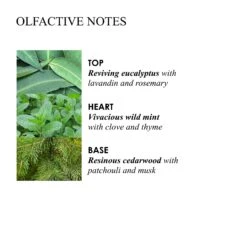 Molton Brown Infusing Eucalyptus Stimulating Body Polisher 275g -Molton Brown KRY21051 uk Infusing Eucalyptus Stimulating Body Scrub Polisher 275g image 05