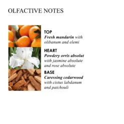 Molton Brown OUTLET Suede Orris Body Lotion 300ml -Molton Brown NHB21256 uk Suede Orris Body Lotion 300ml image 04