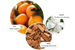 Molton Brown OUTLET Suede Orris Hair Mist 100ml 12 Molton Brown OUTLET Suede Orris Hair Mist 100ml -Molton Brown NMF21255 uk Suede Orris Hair Mist 100ml image 04