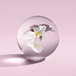 Molton Brown OUTLET Suede Orris Hair Mist 100ml 13 Molton Brown OUTLET Suede Orris Hair Mist 100ml -Molton Brown NMF21255 uk Suede Orris Hair Mist 100ml image 05