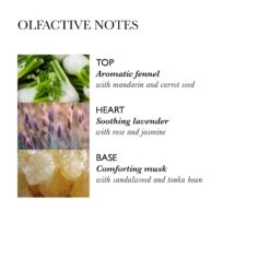 Molton Brown Repairing Shampoo - Conditioner Gift Set -Molton Brown WBB1243 uk repairing shampoo conditioner gift set image 04